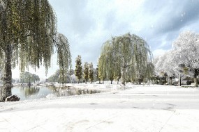 Реконструкция парка им. Ю. А. Гагарина